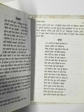 Sikh sital vaara punjabi dadhi vaara book by sohan singh sital panjabi vara b67