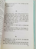 Gauri punjabi fiction novel ajeet cour ajit kaur panjabi gurmukhi book b6 new