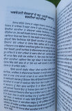 Irkha Collection of Punjabi Stories Ijaz Pakistan Writer Literature Book B44 New