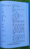 Nihang Singha De Khalsai Gargaj Bolay Daljit Singh Bedi Punjabi Sikh book MC New