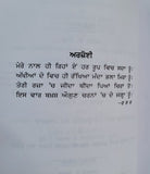 Bhai Maharaj Singh Rajinder Singh Jali Punjabi Gurmukhi Sikh History Book MP New
