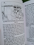 Bhai Maharaj Singh Rajinder Singh Jali Punjabi Gurmukhi Sikh History Book MP New