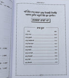Sri Guru Granth Sahib Ji Gurmukhi Punjabi Steek Word Meaning Volumes Sanchia Set