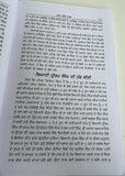 Akhin Ditha Saka Neela Tara Giyani Kirpal Singh  Blue Star Sikh Punjabi Book New