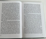 Diary de Panne Diary Operation Blue Star Attack Darbar Sahib Punjabi Sikh Book