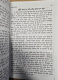 Lal Kitaab Red Book mantar Jyotish Vidya da Khajana in punjabi gurmukhi New A21
