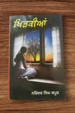 Khirkian Khidkian Narinder Singh Kapoor Punjabi Gurmukhi Literature Reading Book