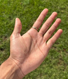 Brass Asht Dhatu Ring Eight Different Metals Evil Eye Protection Nazar Luck B37R Hindu Tradition Mundari Mundri Lucky Amulet Handmade New