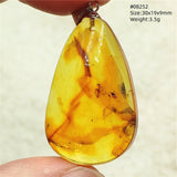Natural Insect Amber Water Drop Pendant Flower Yellow Amber Insect Necklace Baltic Women Men Jewelry Stone AAAAAAA