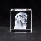 Personalized Sympathy Tribute Custom Gift for Loss of Beloved Pet with  Crystal Decor Keepsake Offering for Departed Loved One