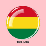 South America Countries Flag Magnet Fridge Argentina Brazil Chile Peru Flag Glass Refrigerator Magnets Stickers Home Decor Gift