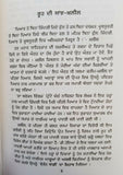 Tutte Khanbh Broken Wings Novel by Gibran Punjabi Literature Panjabi Book B42