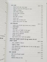 Sikh History Max Arthur Macauliffe Punjabi Literature Book Part 1-2
