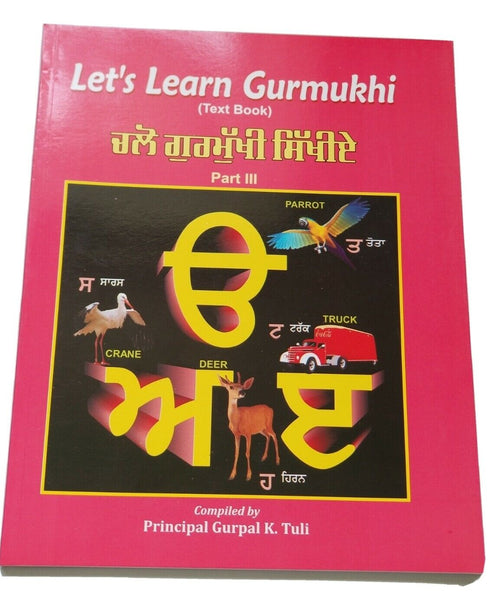 Let's Learn Gurmukhi Writing Punjabi Textbook Sentence Making 3rd Book Kaida H12