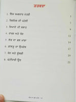 Punjabi Reading Kids Mini Stories Moral Book Greed is Curse Lobh Da Fall Story
