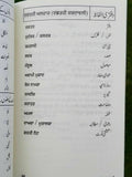 Gulshan-e-Urdu Learn Urdu Shahmukhi Kaida First Book Punjabi Guide alphabets B48