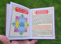 Hanuman chalisa aarti yantara evil eye protection shield good luck book english