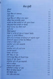 Nawaab kapur singh sikh book baba prem singh hoti mardaan punjabi gurmukhi mc