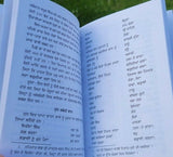 Nawaab kapur singh sikh book baba prem singh hoti mardaan punjabi gurmukhi mc