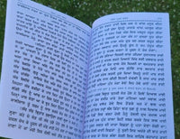 Puran bhagat kissa authentic complete pooran bhagat story in punjabi panjabi ma