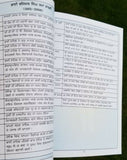 Chalda vaheer jatha a spiritual journey - jatinder kaur sikh punjabi book new mc