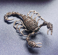 Valentine scorpion brooch vintage look celebrity broach silver plated pin ggg90
