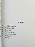 Flies makhia punjabi fiction novel sukhvir singh soohe akhar paperback book b38