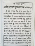 Sikh 12 pooranmashia di katha and fal 12 fullmoon tales book punjabi gurmukhi a5