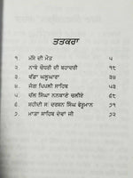 Sikh sital vaara punjabi dadhi vaara book by sohan singh sital panjabi vara b67
