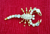 Gold plated scorpion brooch star sign cake pin - birth sign talisman protection
