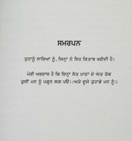 Body Language James Borg 7 Easy Lessons to Master Silent Language Punjabi Book B
