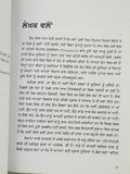 Body Language James Borg 7 Easy Lessons to Master Silent Language Punjabi Book B