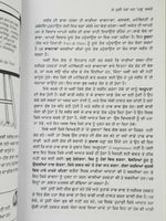 Body Language James Borg 7 Easy Lessons to Master Silent Language Punjabi Book B
