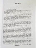 Dulle di dhab novel ram saroop ankhi literature punjabi reading panjabi book mh