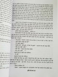 Dulle di dhab novel ram saroop ankhi literature punjabi reading panjabi book mh