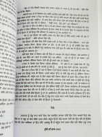 Dulle di dhab novel ram saroop ankhi literature punjabi reading panjabi book mh