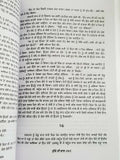 Dulle di dhab novel ram saroop ankhi literature punjabi reading panjabi book mh