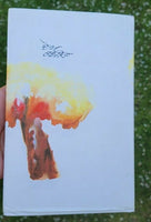 Dekh kabira book by amrita pritam punjabi famous fiction book panjabi - new ma