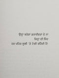 Suli tange pehar punjabi novel baldev singh sadaknama panjab literature book b65