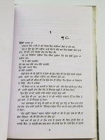 Teeli da Nishan Punjabi fiction novel by Dalip Kaur Tiwana Panjabi book b5 new