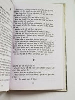 Teeli da Nishan Punjabi fiction novel by Dalip Kaur Tiwana Panjabi book b5 new