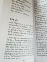 Rasidi ticket autobiography amrita pritam punjabi raseedi ticket book b71 new