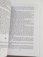 Langh gaye dariya punjabi fiction novel by dalip kaur tiwana panjabi book b5 new