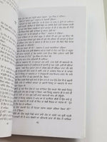 Langh gaye dariya punjabi fiction novel by dalip kaur tiwana panjabi book b5 new