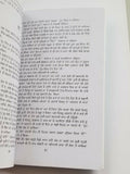 Langh gaye dariya punjabi fiction novel by dalip kaur tiwana panjabi book b5 new