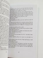 Langh gaye dariya punjabi fiction novel by dalip kaur tiwana panjabi book b5 new