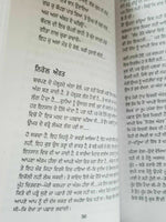 Gafoor see usda nao punjabi fiction novel dalip kaur tiwana panjabi book b3 new