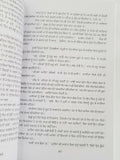 Lal Batti Red Light Punjabi Novel Literature Panjabi Book Baldev Singh B20 New