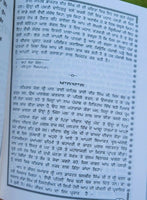 Gurmukh jeewan bhai veer singh ji punjabi book mahan singh gyani literature ma