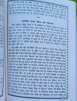 Gurmukh jeewan bhai veer singh ji punjabi book mahan singh gyani literature ma